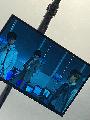 06.04 - TW: shfly3424